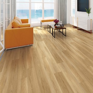 Moda Living Elite